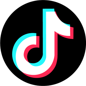 tiktok logo